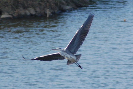 c0143411_2357937.jpg