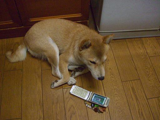 c0138720_030148.jpg