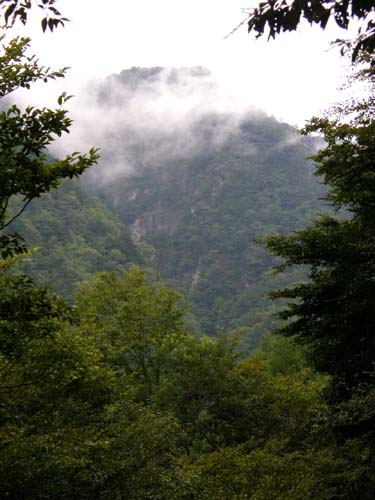d0127634_1319357.jpg