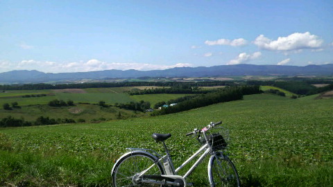 b0086749_13867.jpg