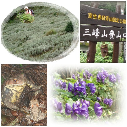 d0048350_18501910.jpg