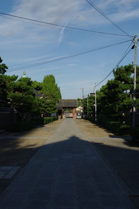 f0152550_19175061.jpg