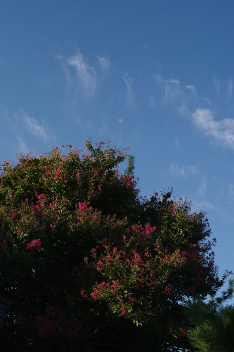 f0152550_191951.jpg