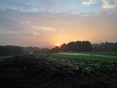 b0045357_85598.jpg