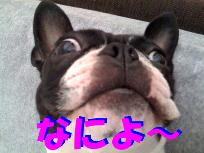 f0166359_20111070.jpg