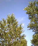 c0148270_20364318.jpg