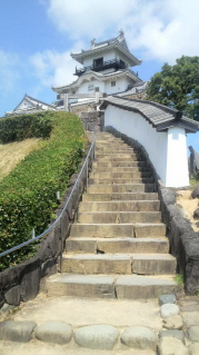 掛川城(その2)_e0033570_92610100.jpg