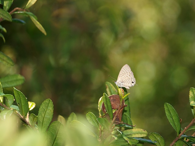 b0135573_2159632.jpg