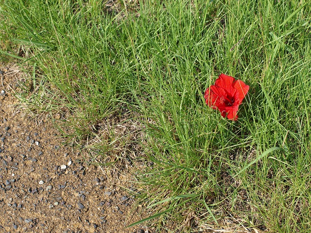 b0135573_2203914.jpg