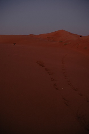 e0066474_16195855.jpg