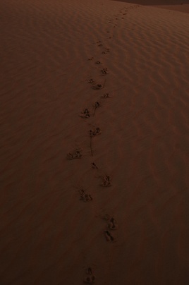 e0066474_16212160.jpg