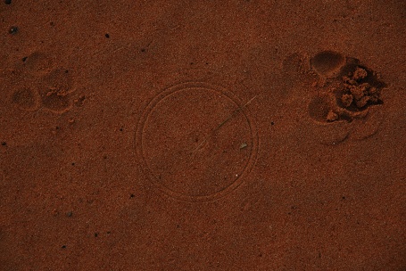 e0066474_1622194.jpg