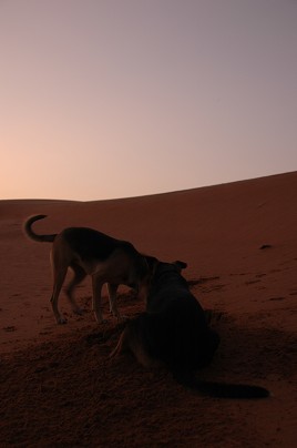 e0066474_23202423.jpg