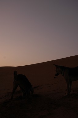 e0066474_23205996.jpg