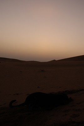e0066474_23211445.jpg