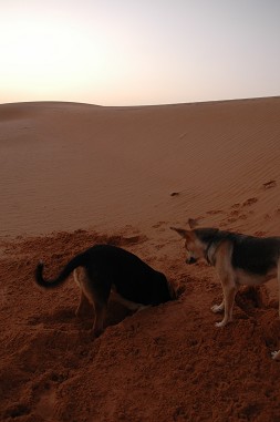 e0066474_23243023.jpg