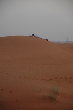 e0066474_23252452.jpg