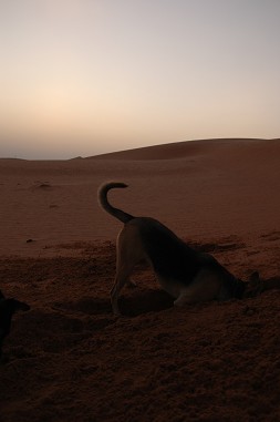 e0066474_2325576.jpg