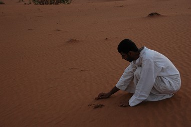 e0066474_23271851.jpg
