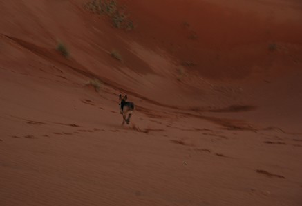 e0066474_23273920.jpg