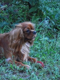 c0156584_1765730.jpg