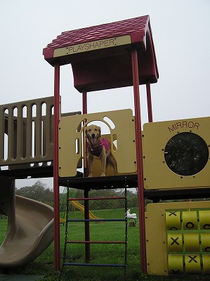 c0172184_2112660.jpg