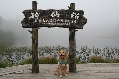 c0172184_211356100.jpg