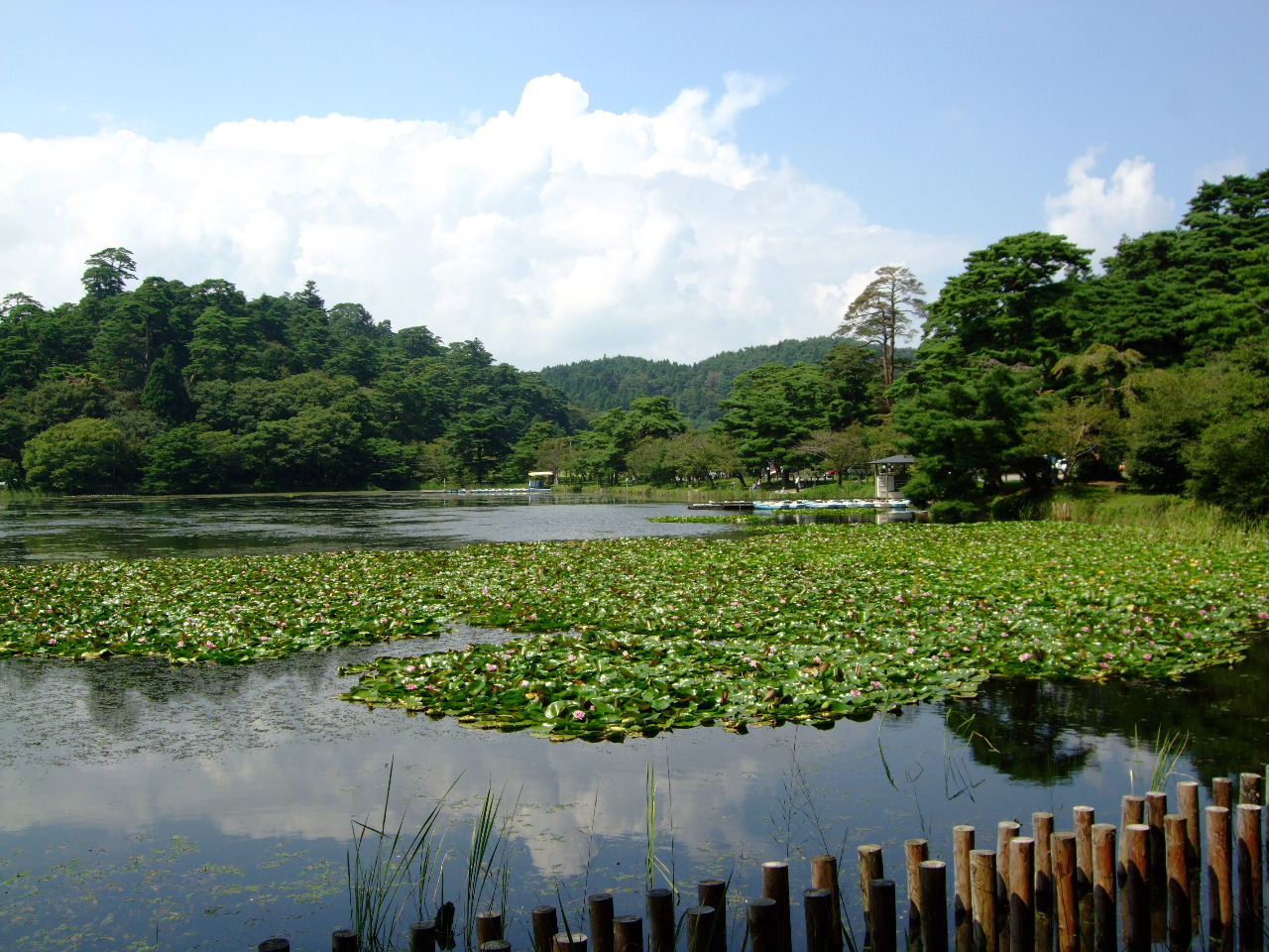 南湖公園～白河市街地まで_f0100593_2038288.jpg