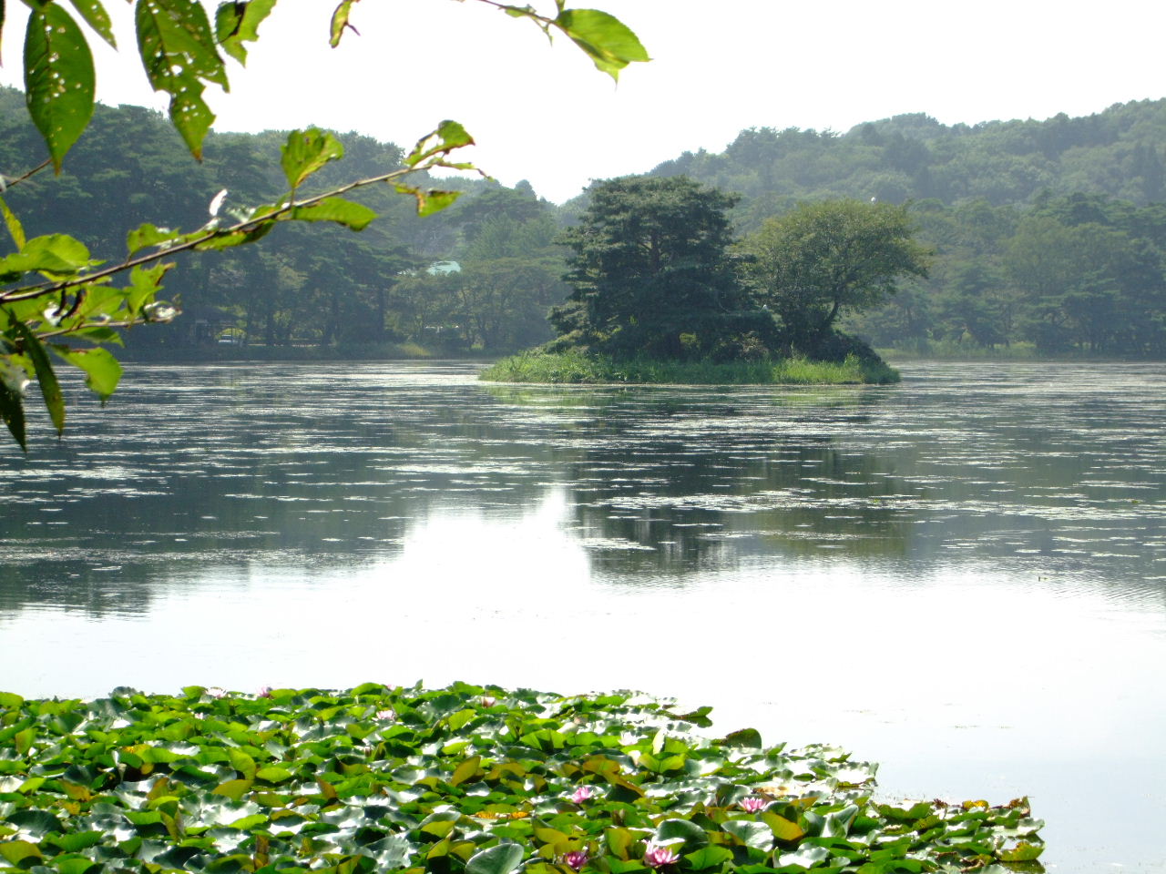 南湖公園～白河市街地まで_f0100593_20411535.jpg