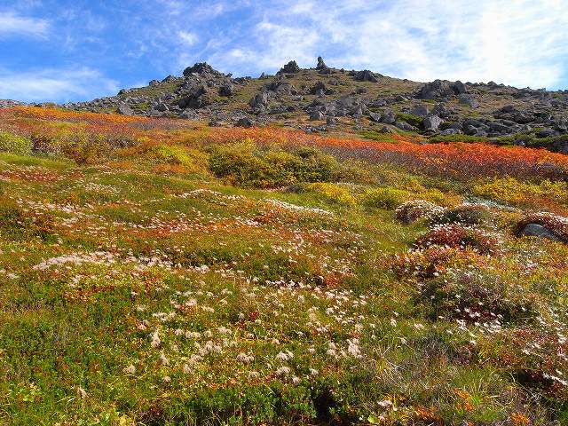 大雪赤岳の紅葉とトムラウシ山の黄葉_f0138096_1756034.jpg