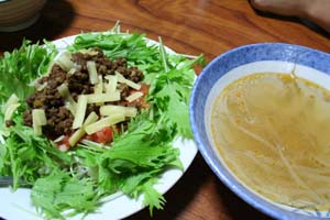 タイキャンプスタートです!_a0080406_227552.jpg