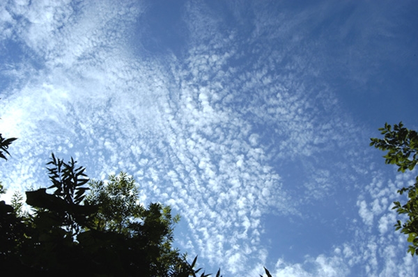 c0170208_8121127.jpg