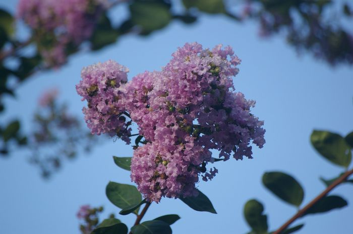 誰もいない一人きりの植物園4_b0151409_22262163.jpg