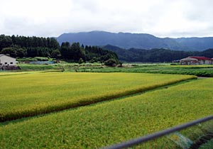 c0085514_15425183.jpg