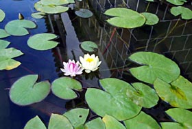 c0085514_154313100.jpg