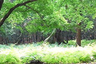「正しい夏」_c0116714_1292462.jpg
