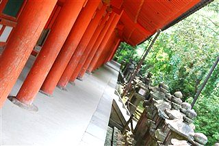 「正しい夏」_c0116714_1302856.jpg