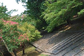 「正しい夏」_c0116714_2451817.jpg