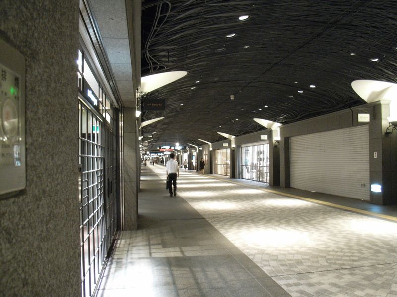 動物学会終了_c0025115_22194726.jpg
