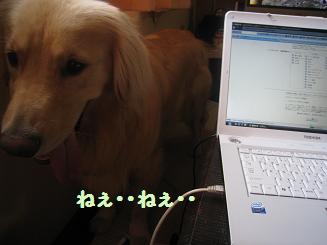 e0136815_11582012.jpg