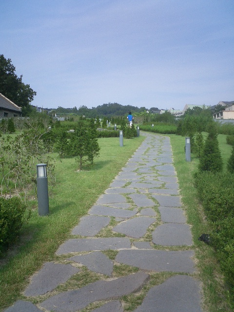 e0037019_21365629.jpg