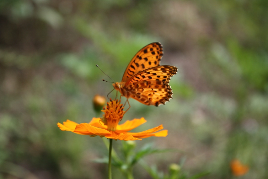 b0146723_2023774.jpg