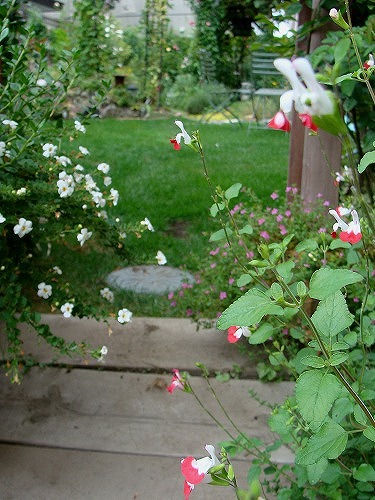 f0170524_11572826.jpg