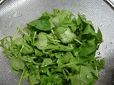 f0170524_128557.jpg