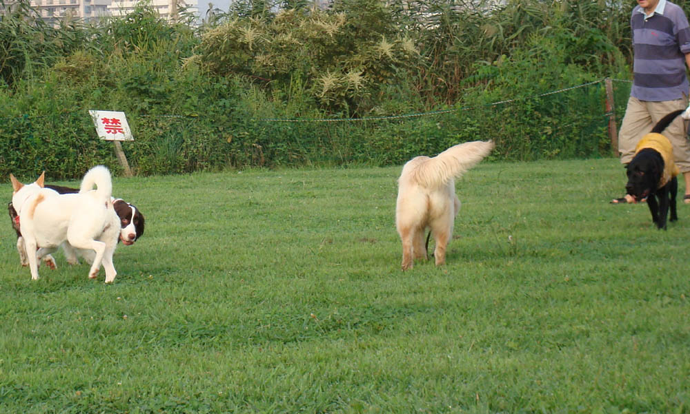 c0117831_21263763.jpg