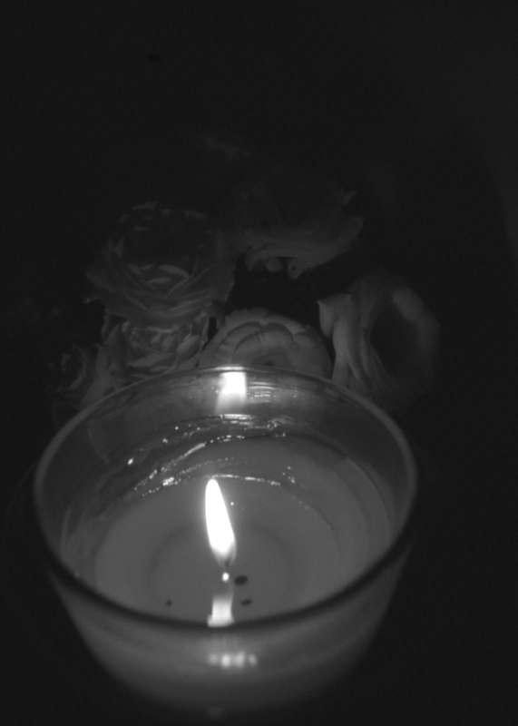 b0117833_12653.jpg