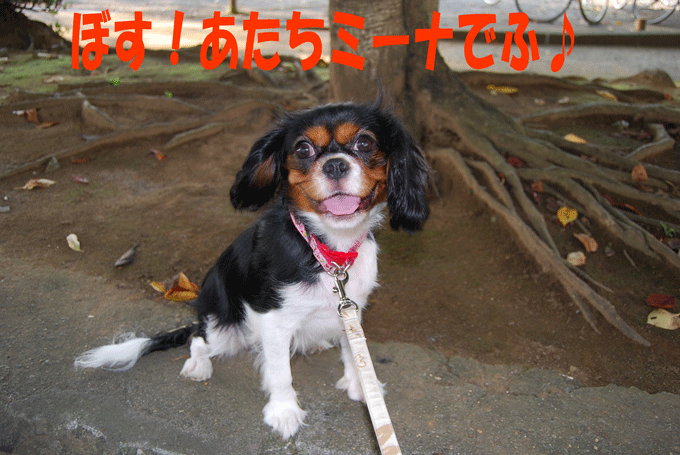 c0136838_2111859.gif