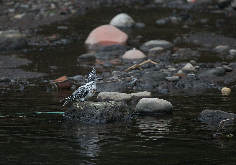 b0109942_23394124.jpg