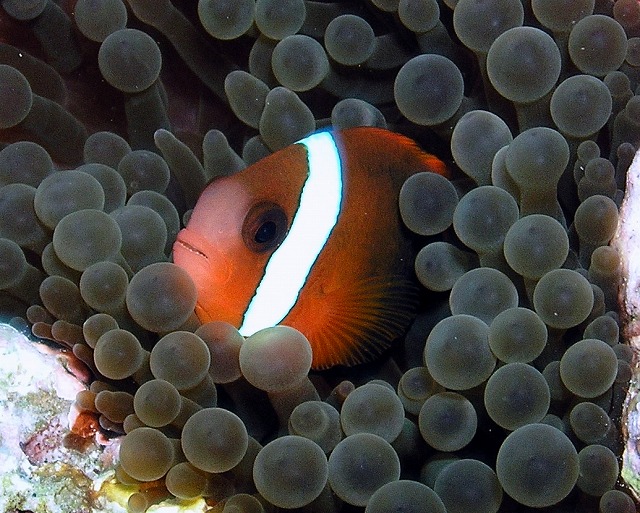 なんとなく!_d0012449_20271758.jpg