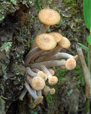 e0035757_0374581.jpg